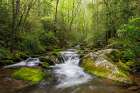 Cascading mountain stream-Great Smoky Mountains National Park-Tennessee-North Carolina Art Print
